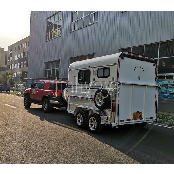 东莞两马方头车